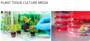 PLANT TISSUE CULTURE MEDIA - دراسة وتنفيذ البيئات الخاصه بكل نبات مطلوب إكثاره نسيجيا 