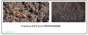 Vermicompost