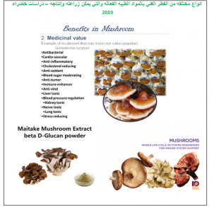 أنواع الفطور الطبيه
