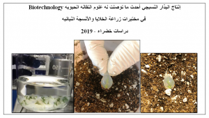 إنتاج البذار النسيجي - دراسات خضراء