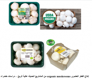 إنتاج الفطر العضوي
