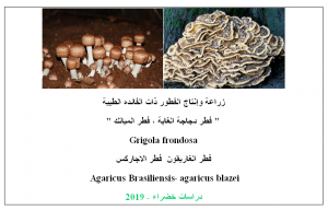 زراعة الفطور الطبيه