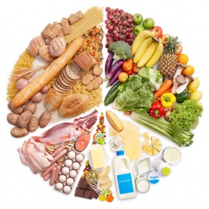 تنوع مشاريع الصناعات الغذائية