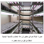 صورة غرفة نمو في مختبر زراعة الأنسجة النباتية المنفذه من قبل دراسات خضراء