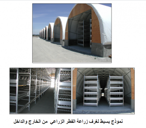 بيوت زراعة الفطر الزراعي