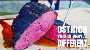 لحوم النعام العضويه لحوم النعام العضويه