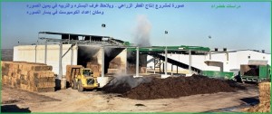 مشروع إنتاج الفطر الزراعي