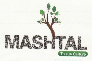 شركة مشتل للزراعات النسيجية - دبي 